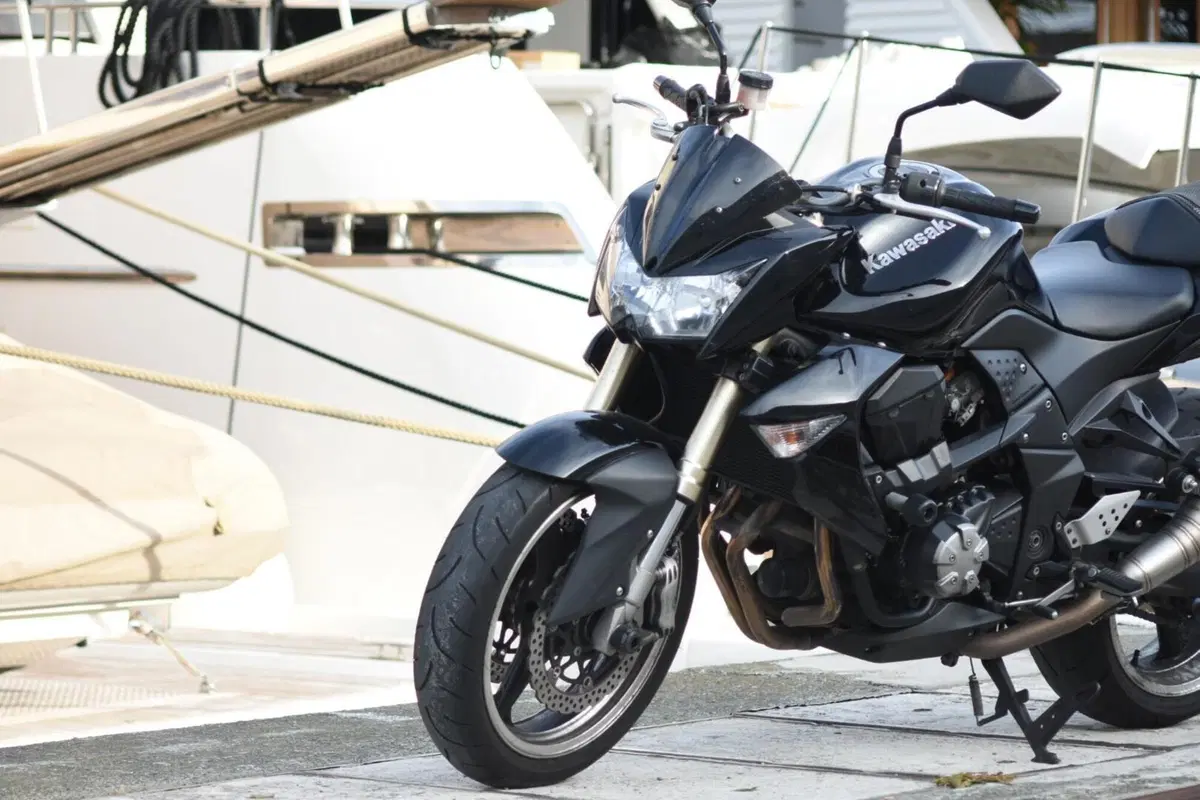 Kawasaki Z 1000 (2007 - 09) (11)