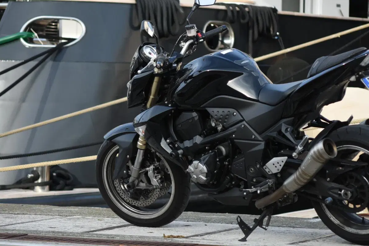 Kawasaki Z 1000 (2007 - 09) (12)