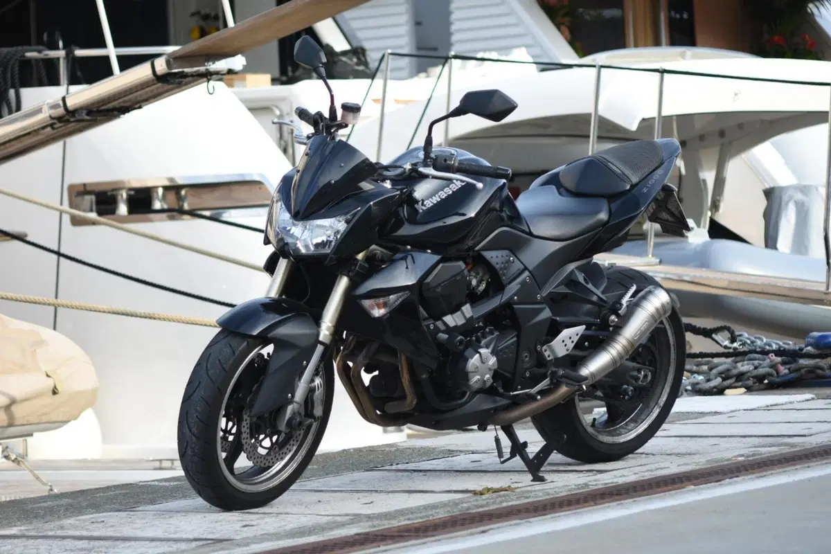 Kawasaki Z 1000 (2007 - 09) (13)