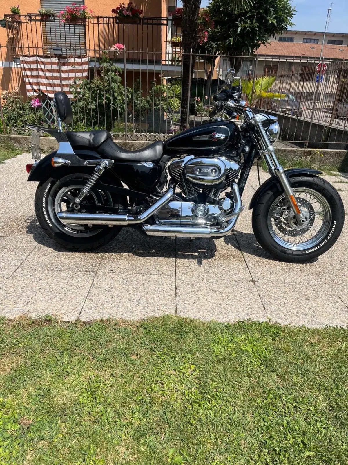Harley-Davidson 1200 Custom (2007 - 13) - XL 1200C (2)