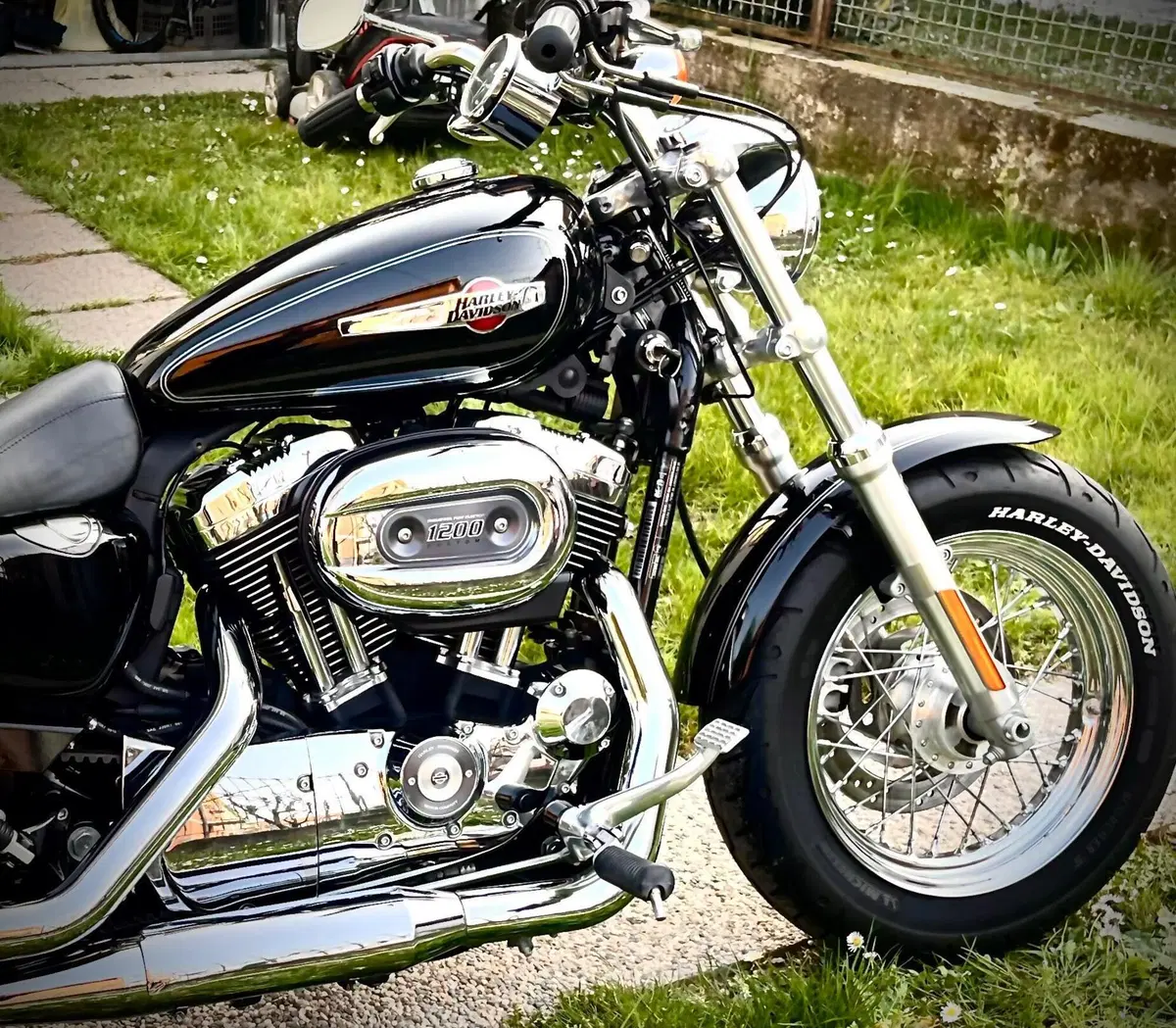 Harley-Davidson 1200 Custom (2007 - 13) - XL 1200C (5)