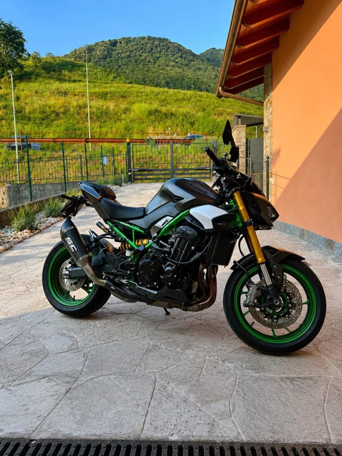 Kawasaki Z 900 SE (2025 - 26)