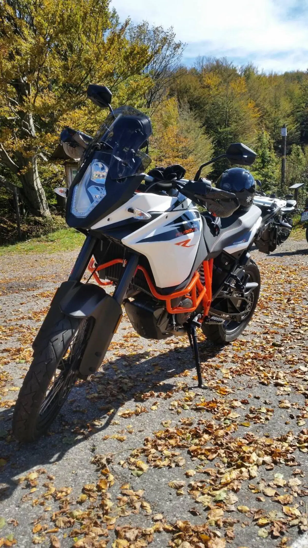 KTM 1090 Adventure R (2017 - 19) (2)