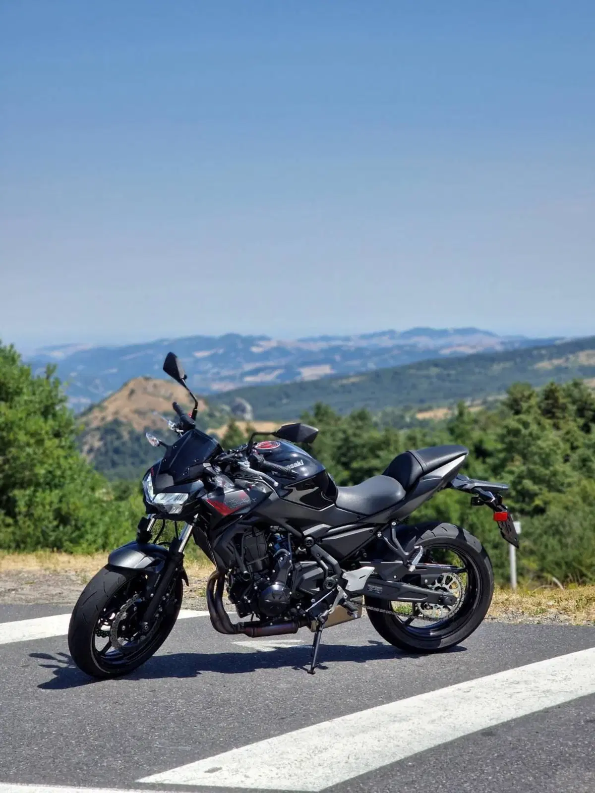 Kawasaki Z 650 (2021 - 24) (4)
