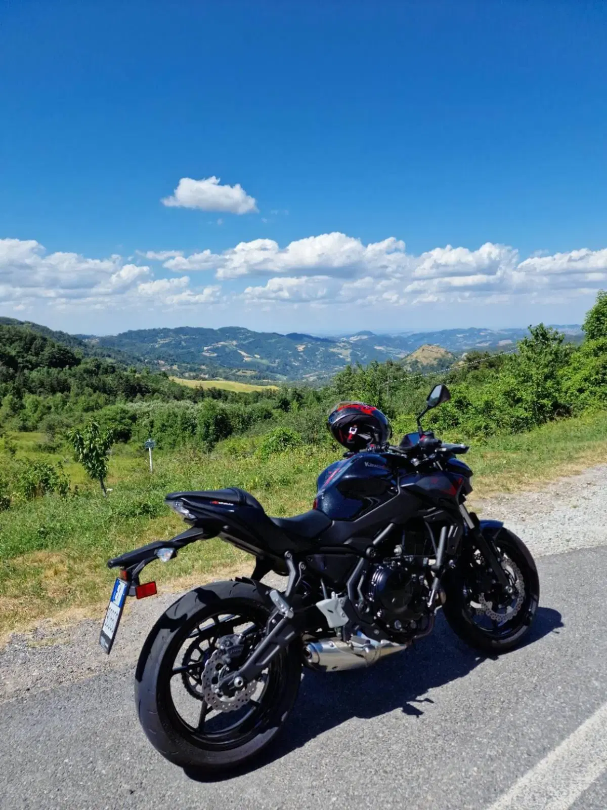 Kawasaki Z 650 (2021 - 24) (5)