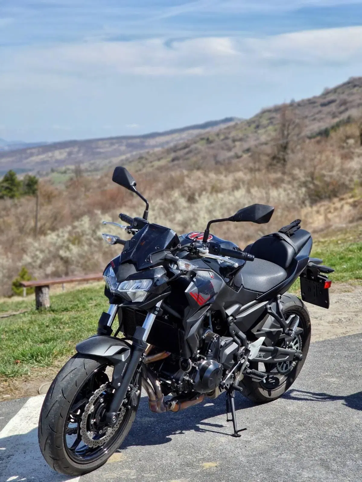 Kawasaki Z 650 (2021 - 24) (8)