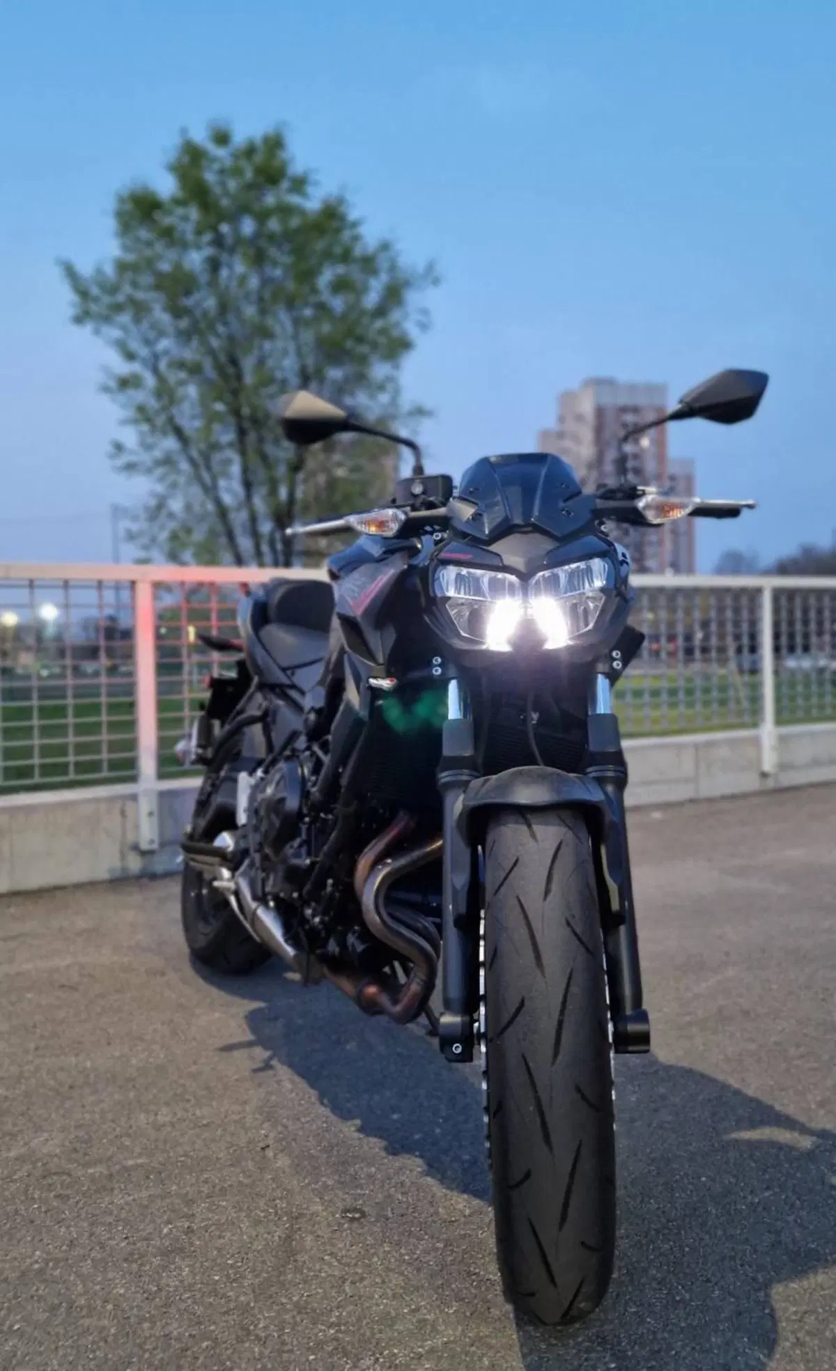 Kawasaki Z 650 (2021 - 24) (9)