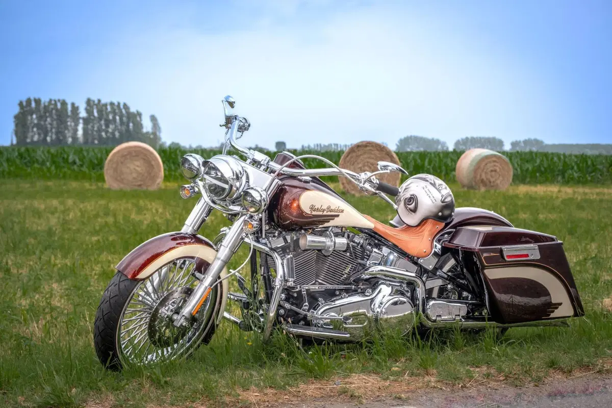 Harley-Davidson 1584 Deluxe (2007 - 08) - FLSTN