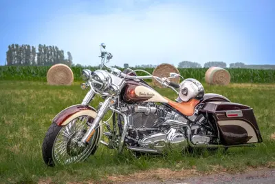 Harley-Davidson 1584 Deluxe (2007 - 08) - FLSTN usata