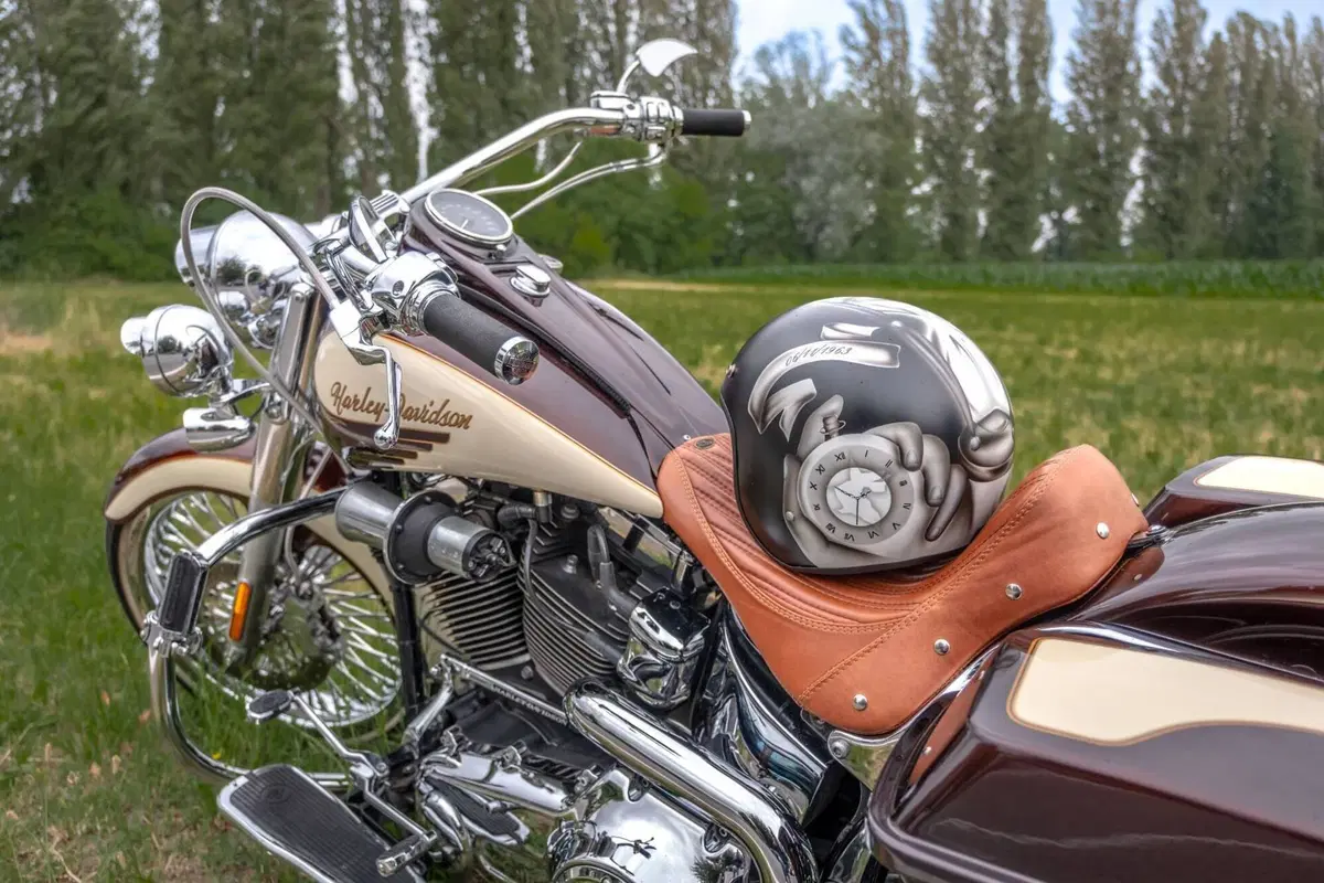 Harley-Davidson 1584 Deluxe (2007 - 08) - FLSTN (2)