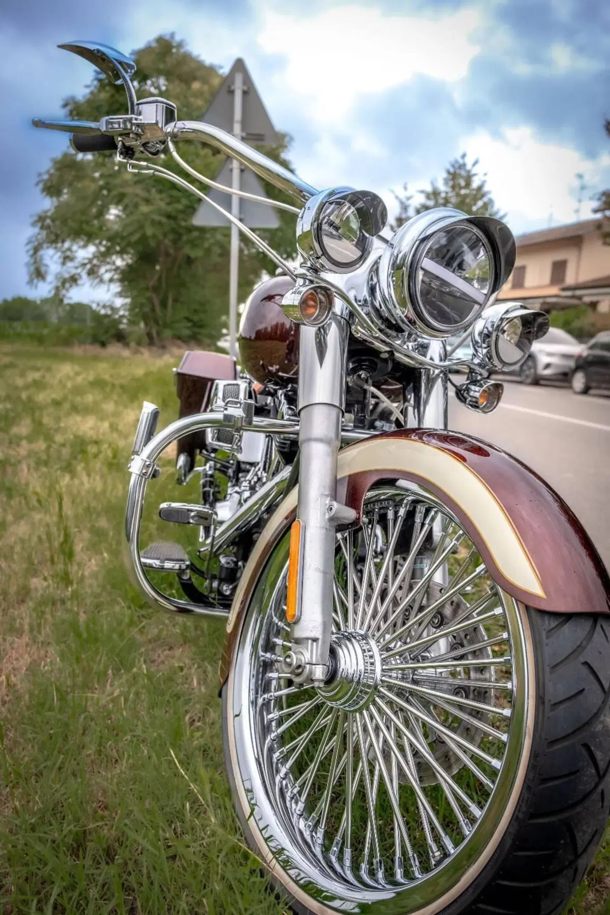 Harley-Davidson 1584 Deluxe (2007 - 08) - FLSTN (4)