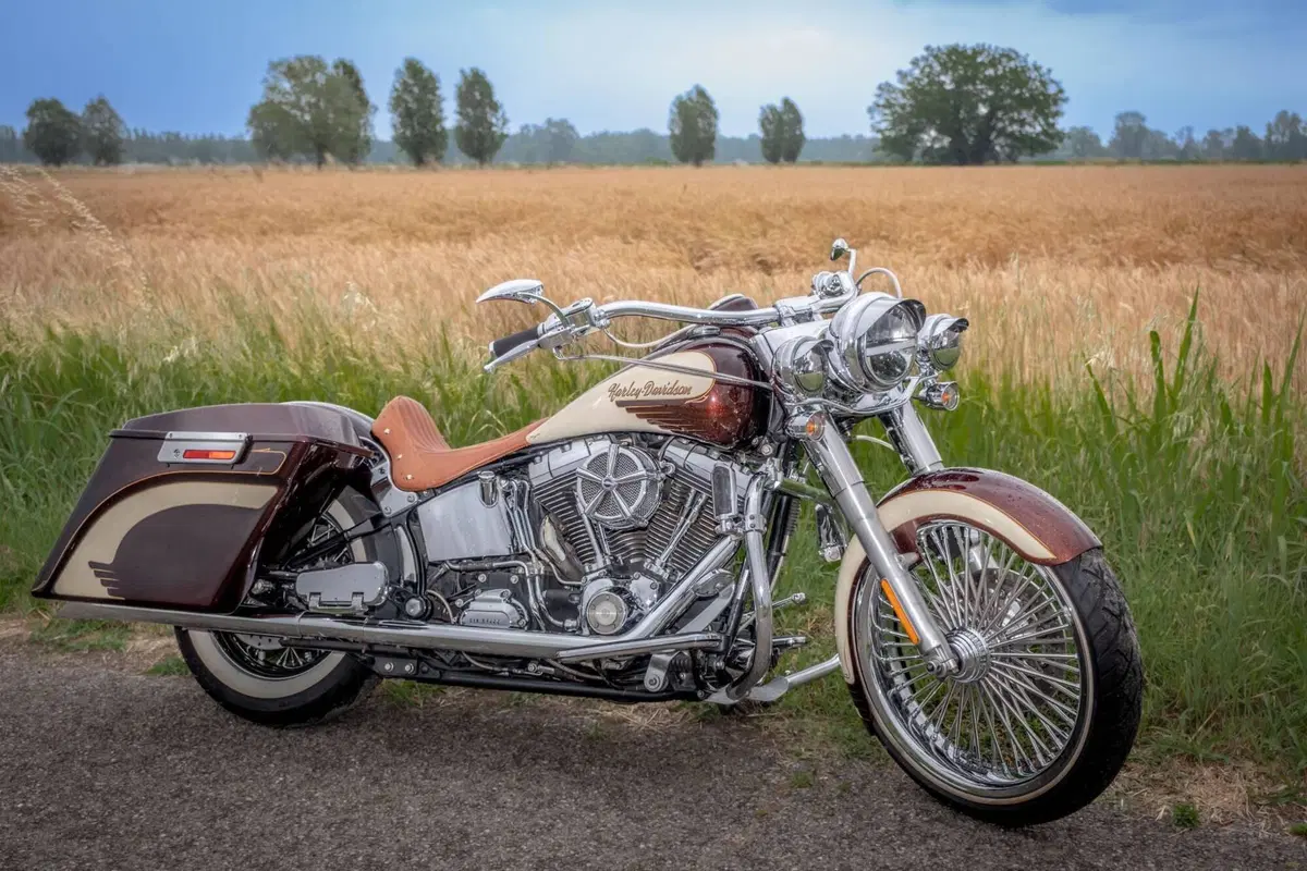 Harley-Davidson 1584 Deluxe (2007 - 08) - FLSTN (5)