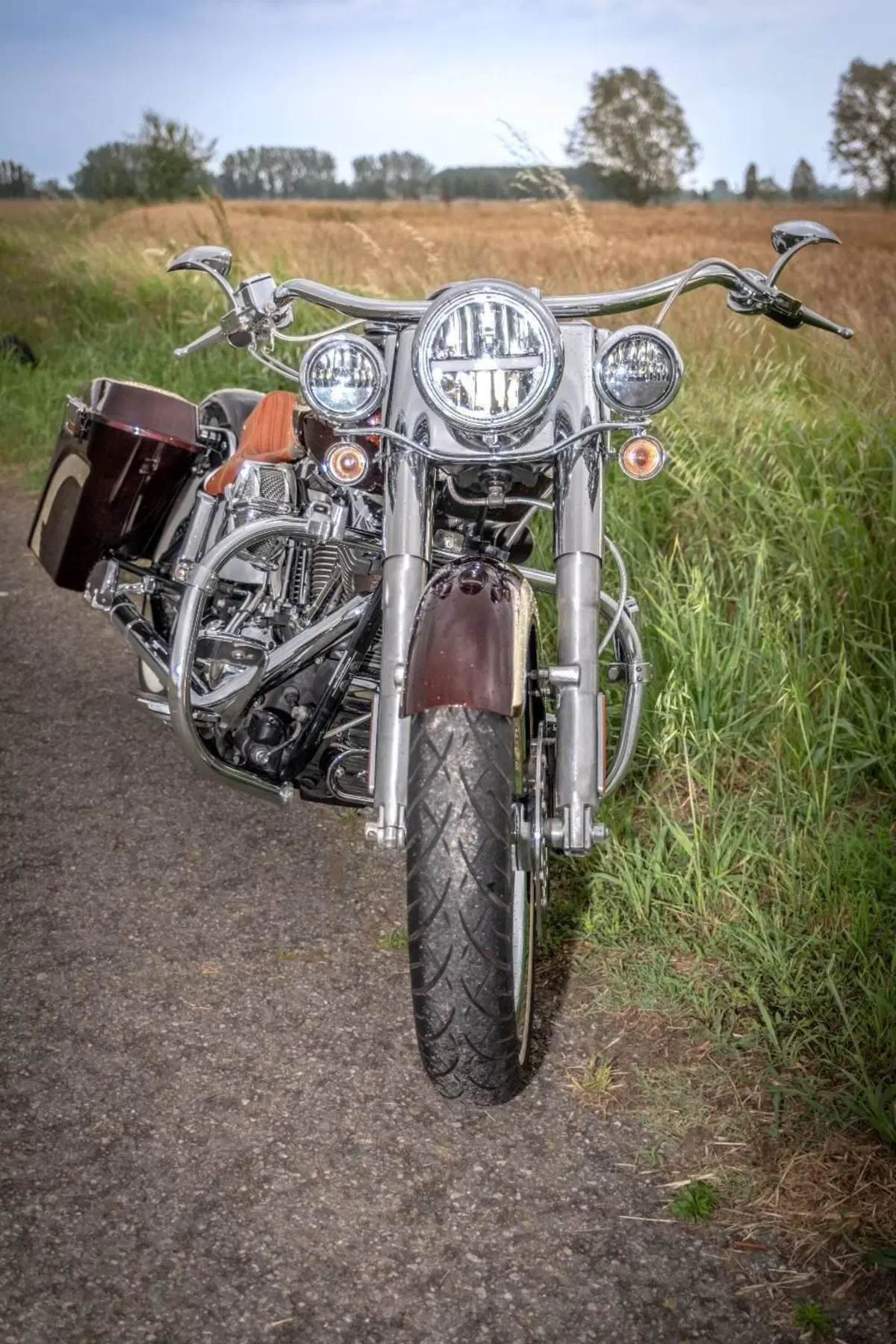 Harley-Davidson 1584 Deluxe (2007 - 08) - FLSTN (6)