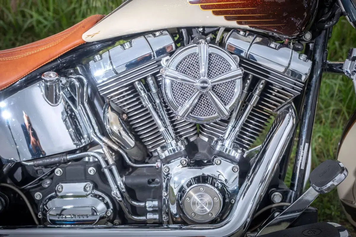 Harley-Davidson 1584 Deluxe (2007 - 08) - FLSTN (7)