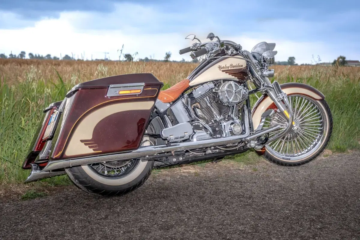 Harley-Davidson 1584 Deluxe (2007 - 08) - FLSTN (8)