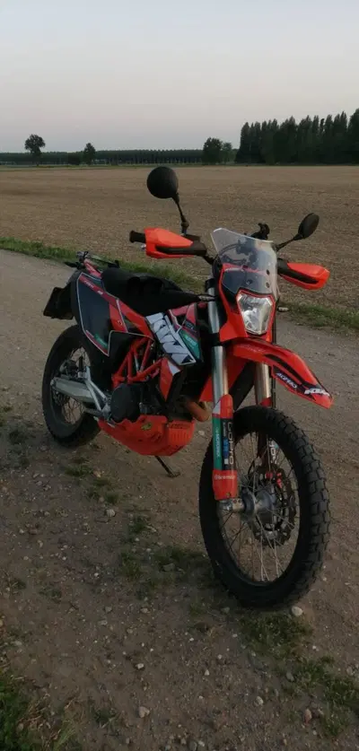 KTM 690 Enduro R (2019 - 20) usata