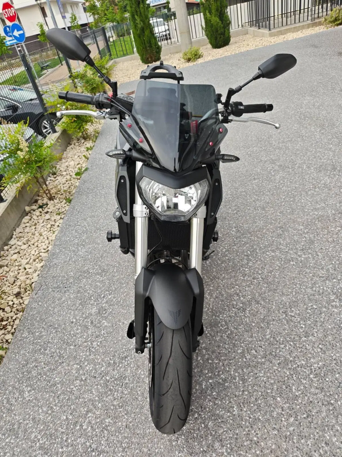 Yamaha MT-09 (2013 - 15) (14)