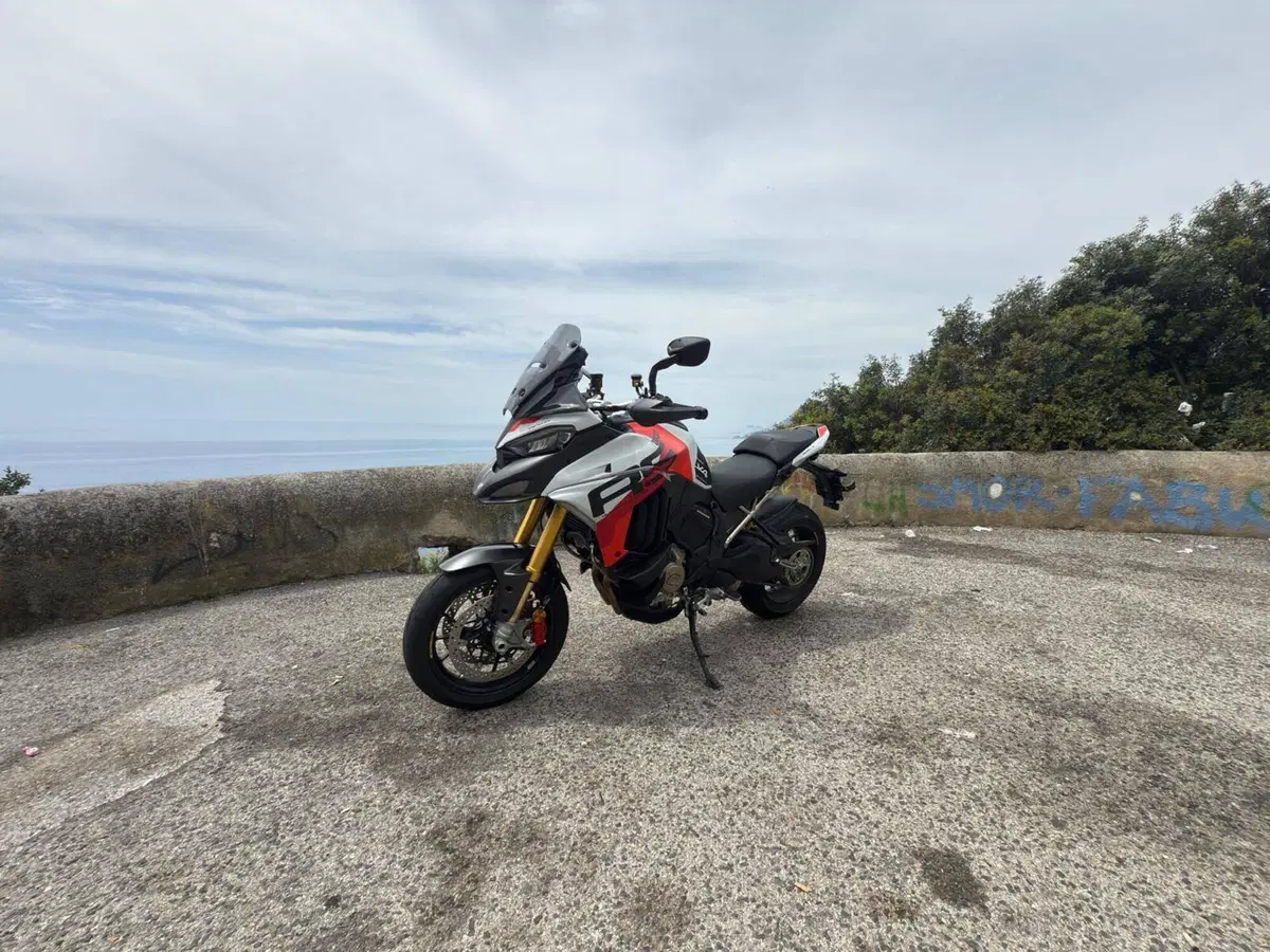 Ducati Multistrada V4 RS (2024 - 25) (2)