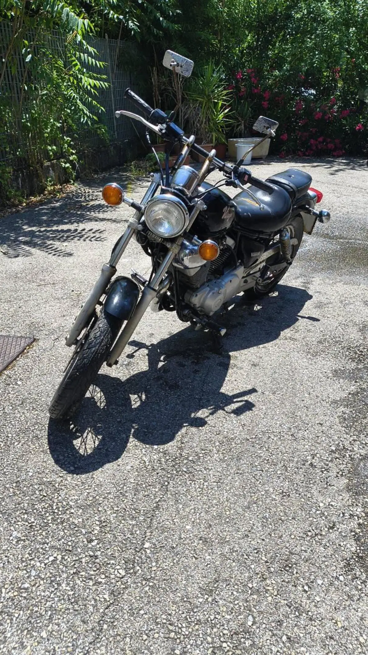 Yamaha XV250 Virago (3)