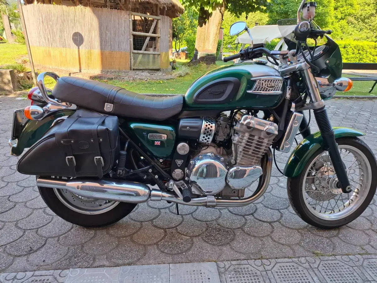 Triumph Thunderbird (3)