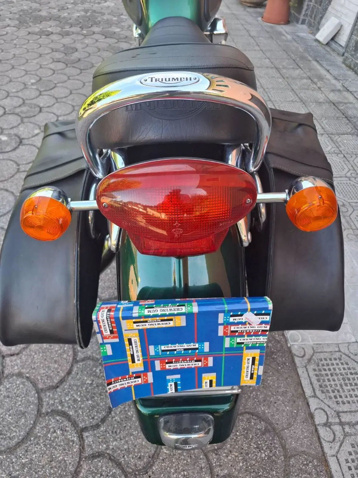 Triumph Thunderbird (6)