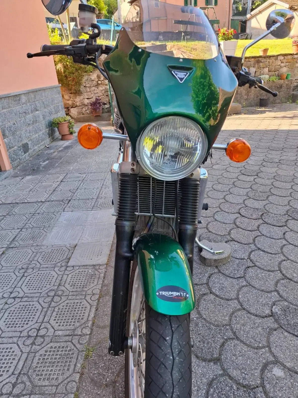 Triumph Thunderbird (7)