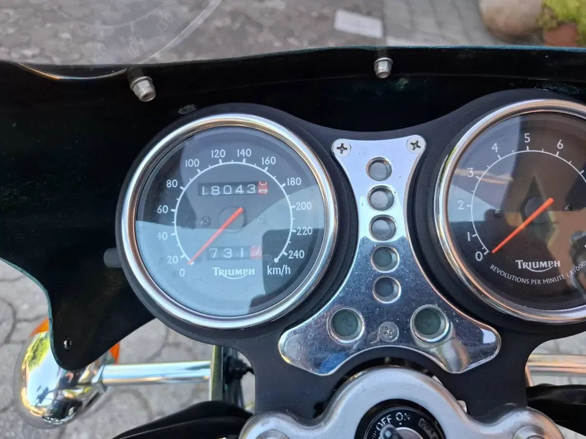 Triumph Thunderbird (8)