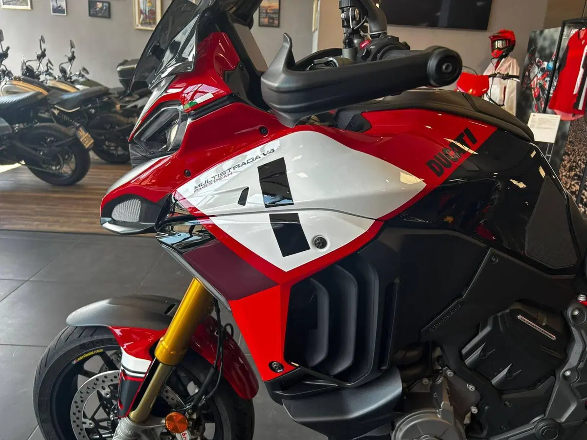 Ducati Multistrada V4 Pikes Peak (2021 - 24) (7)