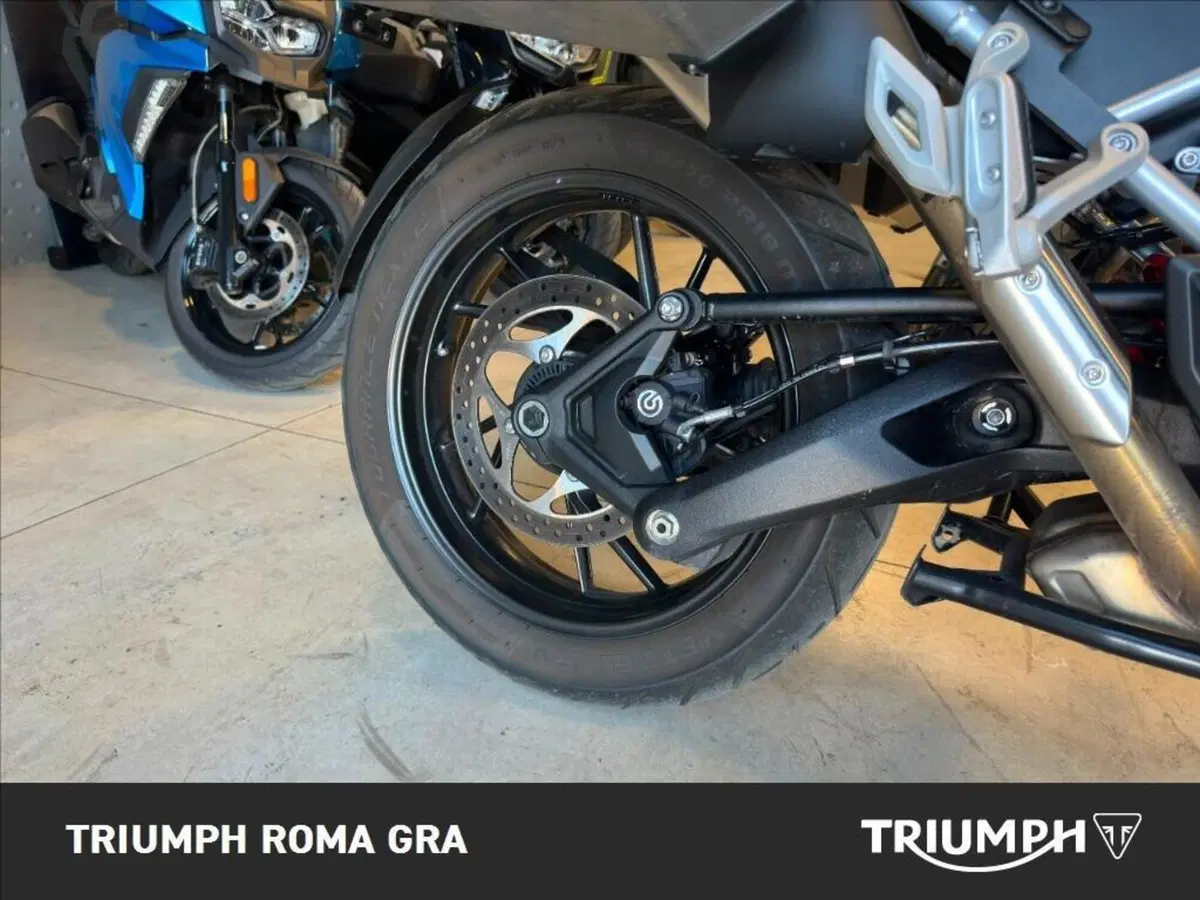 Triumph Tiger 1200 GT Pro (2024 - 26) (5)