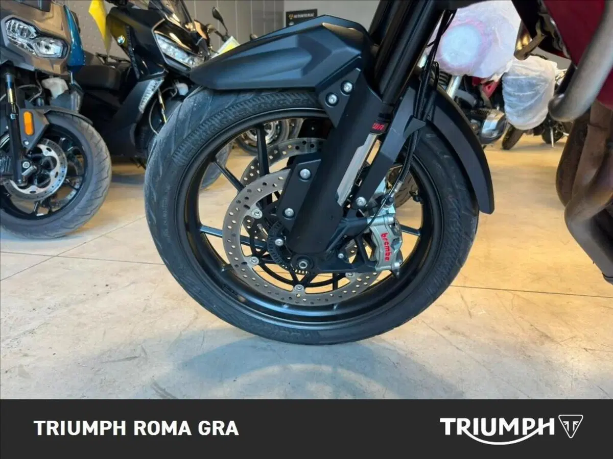 Triumph Tiger 1200 GT Pro (2024 - 26) (9)