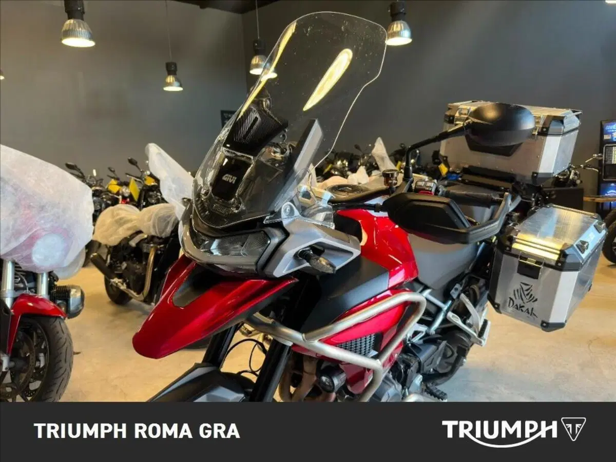 Triumph Tiger 1200 GT Pro (2024 - 26) (13)