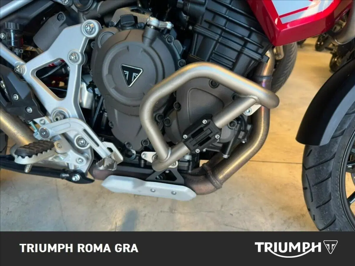 Triumph Tiger 1200 GT Pro (2024 - 26) (6)
