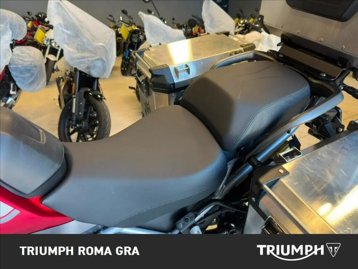 Triumph Tiger 1200 GT Pro (2024 - 26) (17)
