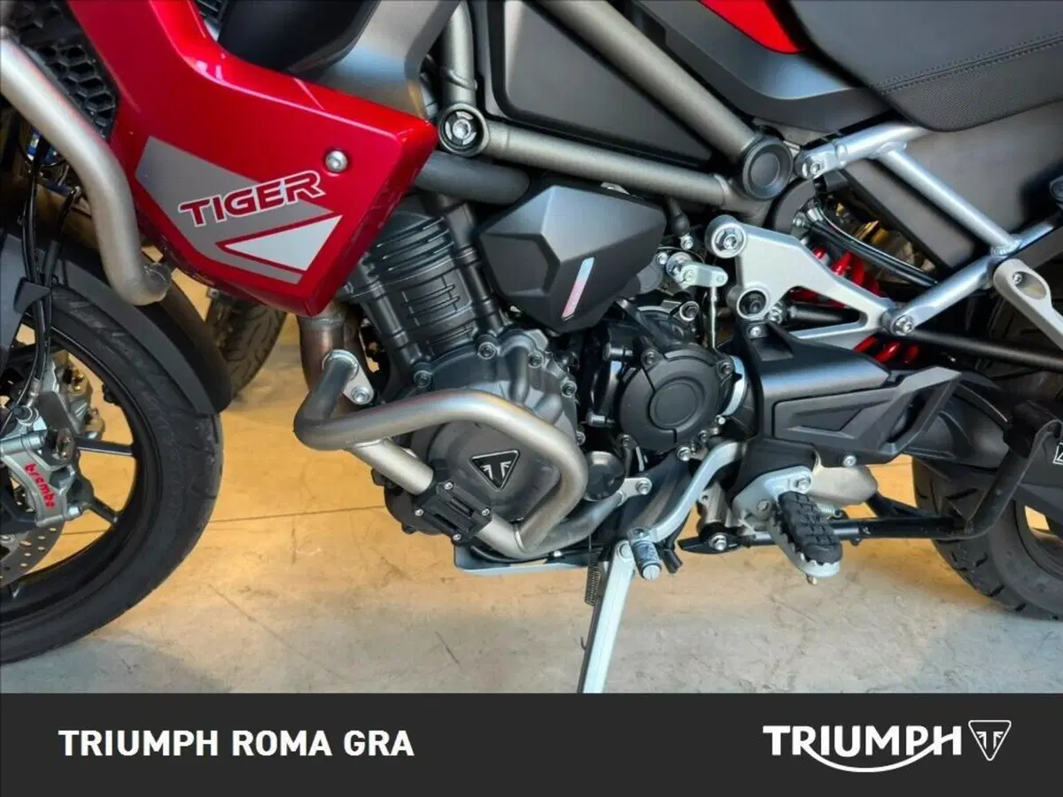 Triumph Tiger 1200 GT Pro (2024 - 26) (10)