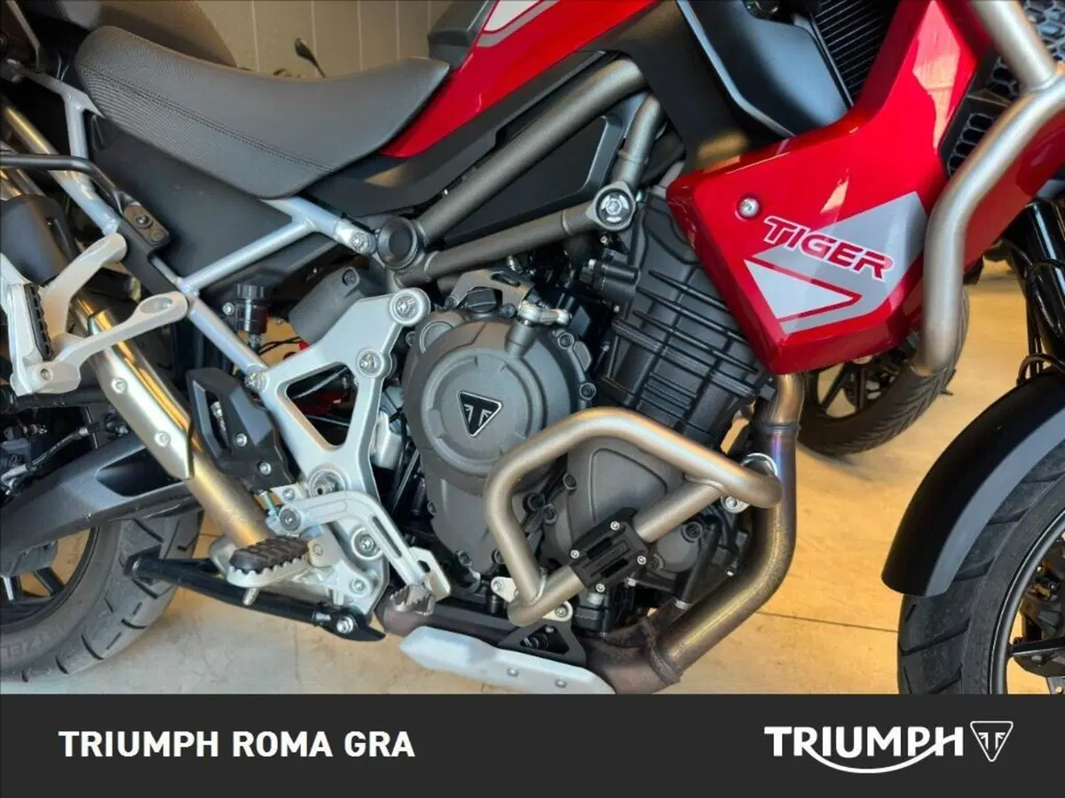 Triumph Tiger 1200 GT Pro (2024 - 26) (7)
