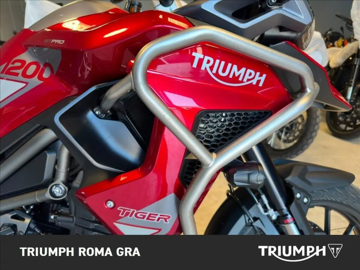 Triumph Tiger 1200 GT Pro (2024 - 26) (14)