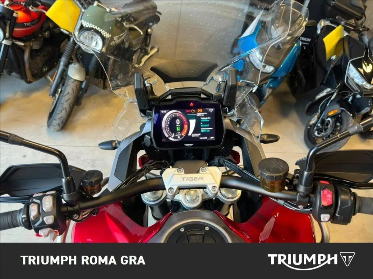 Triumph Tiger 1200 GT Pro (2024 - 26) (18)