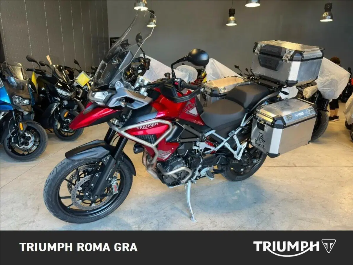 Triumph Tiger 1200 GT Pro (2024 - 26) (3)