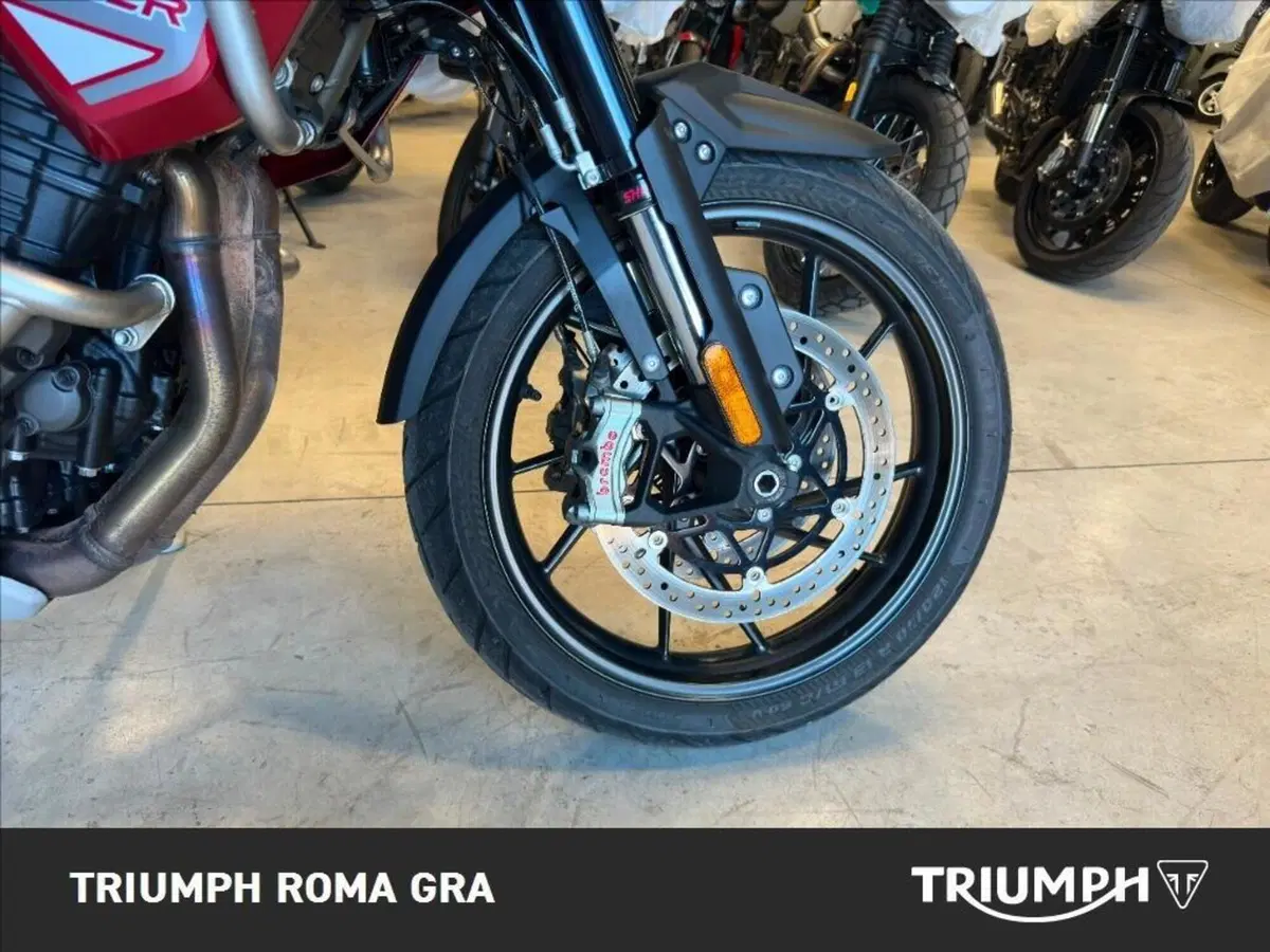 Triumph Tiger 1200 GT Pro (2024 - 26) (8)