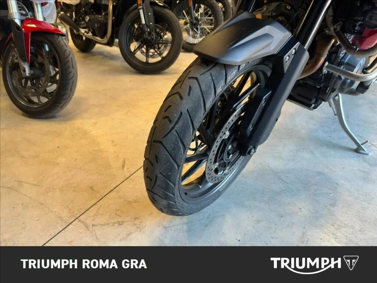Triumph Tiger 1200 GT Pro (2024 - 26) (19)