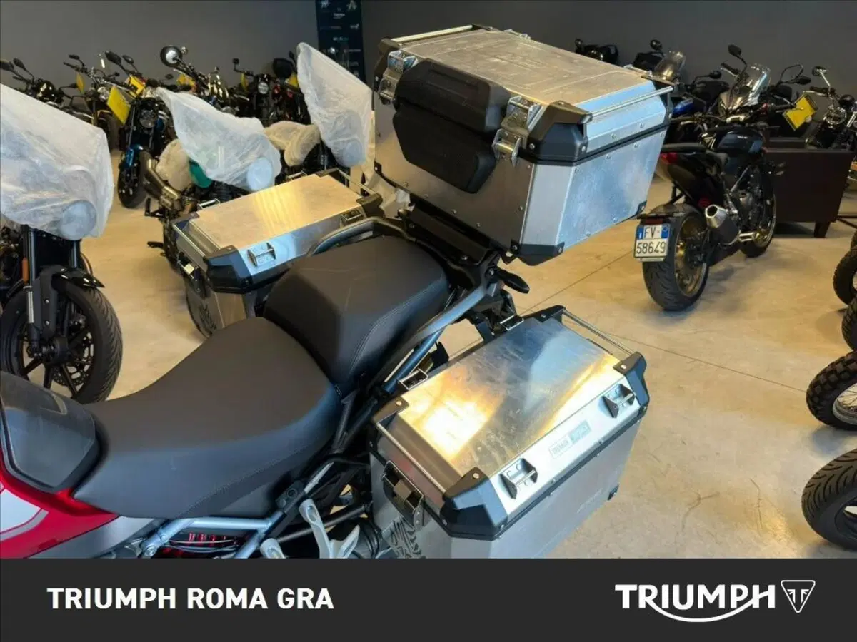 Triumph Tiger 1200 GT Pro (2024 - 26) (15)