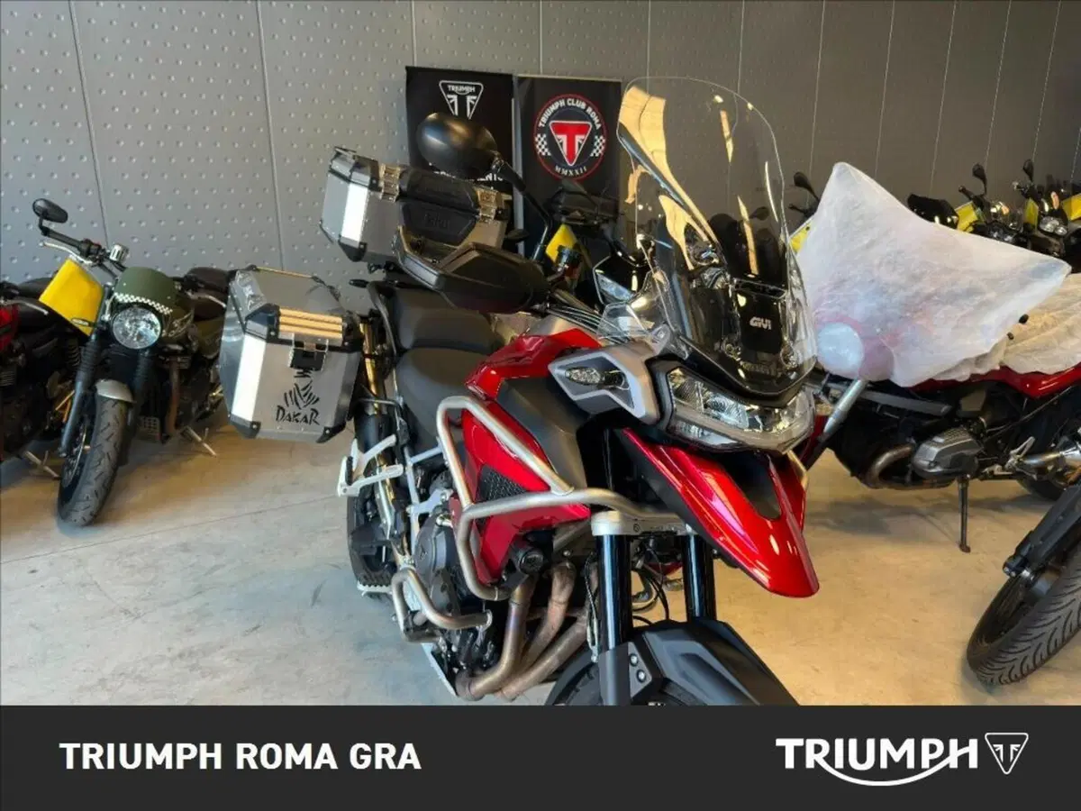 Triumph Tiger 1200 GT Pro (2024 - 26) (12)