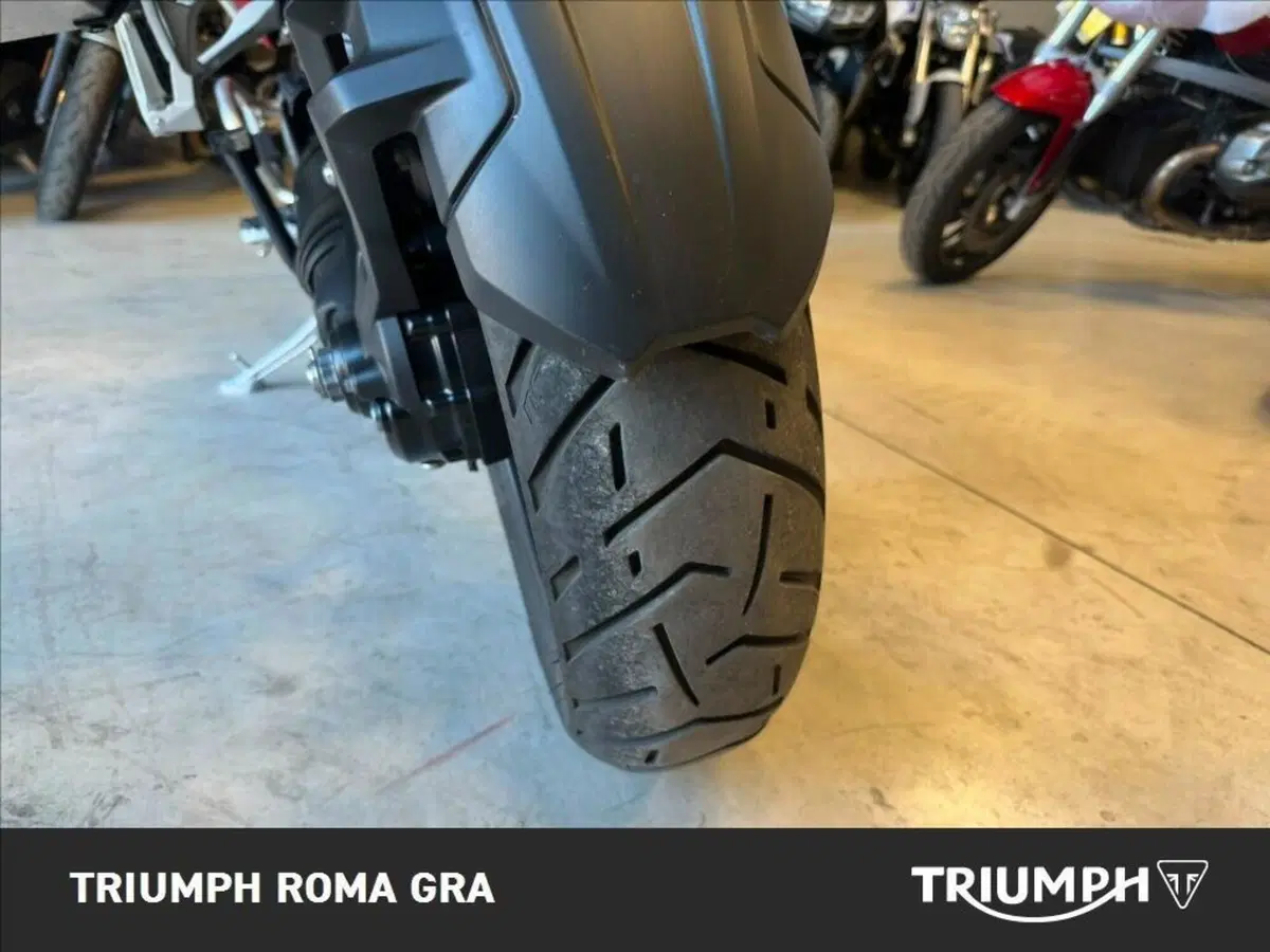 Triumph Tiger 1200 GT Pro (2024 - 26) (20)