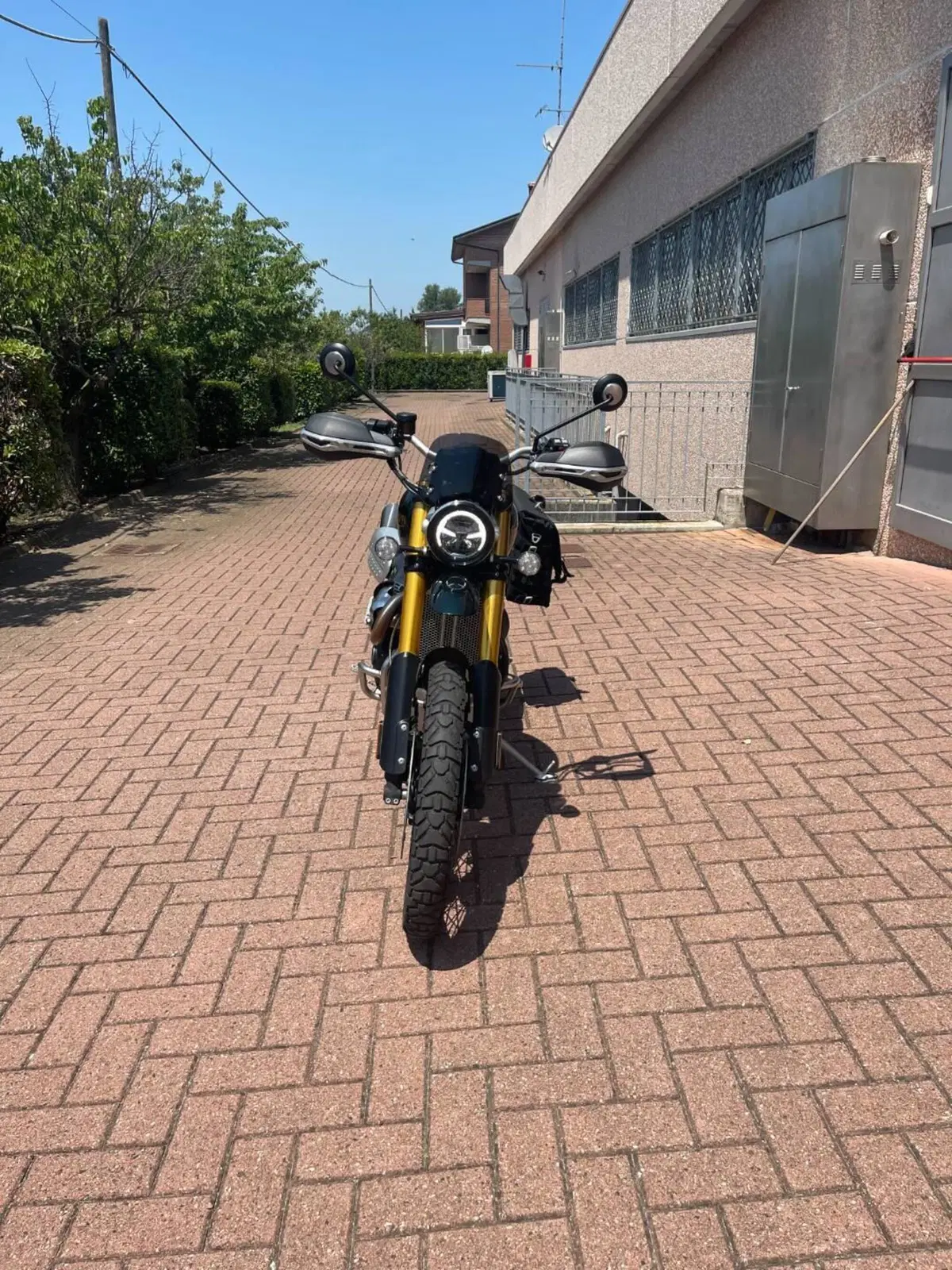 Triumph Scrambler 1200 Steve McQueen Edition (2021 - 22) (2)