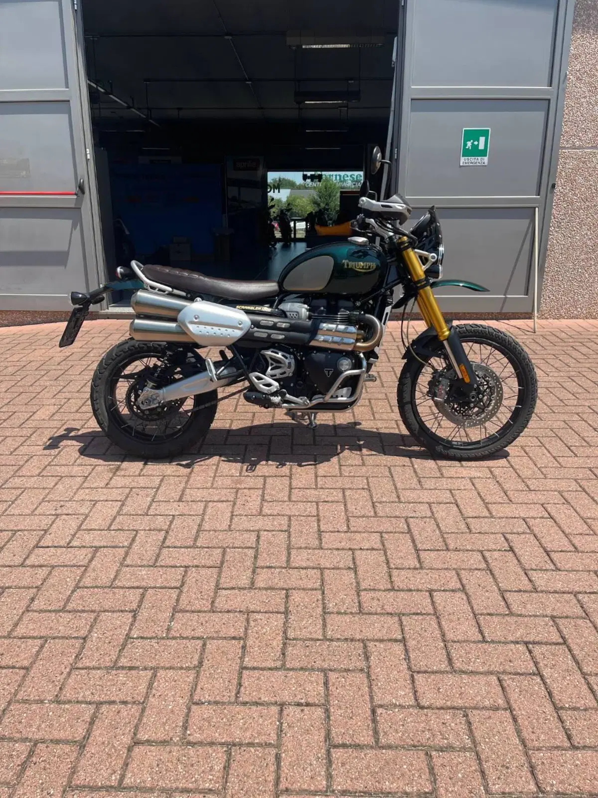 Triumph Scrambler 1200 Steve McQueen Edition (2021 - 22) (3)
