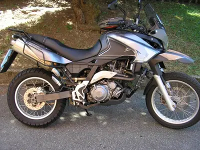 Aprilia Pegaso 650 Trail (2006 - 11) usata