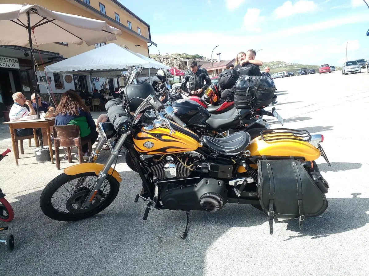 Harley-Davidson 1584 Wide Glide (2007 - 11) - FXDWG (3)