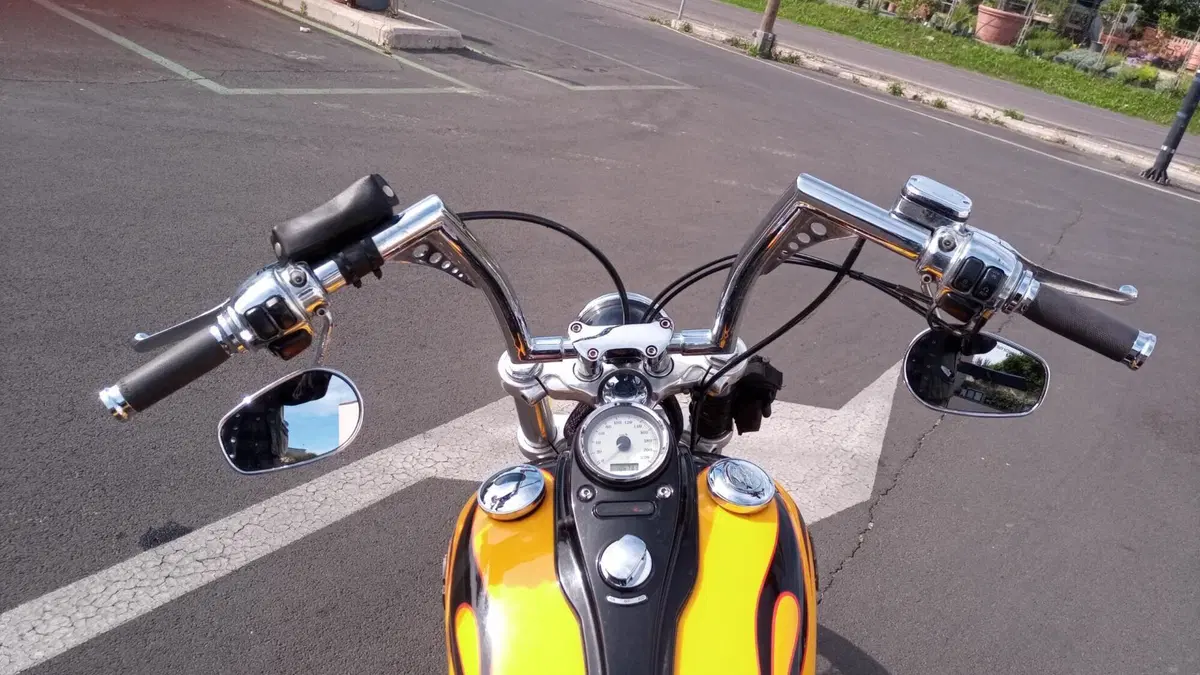 Harley-Davidson 1584 Wide Glide (2007 - 11) - FXDWG (6)