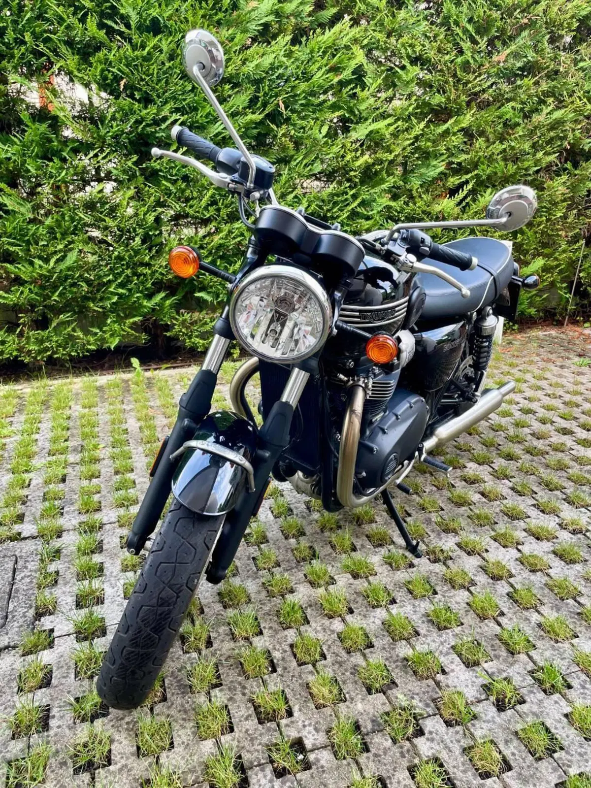Triumph Bonneville T100 (2021 - 25) (5)