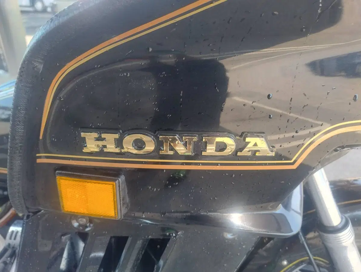 Honda GL 1100 Gold Wing (1980 - 83) (12)